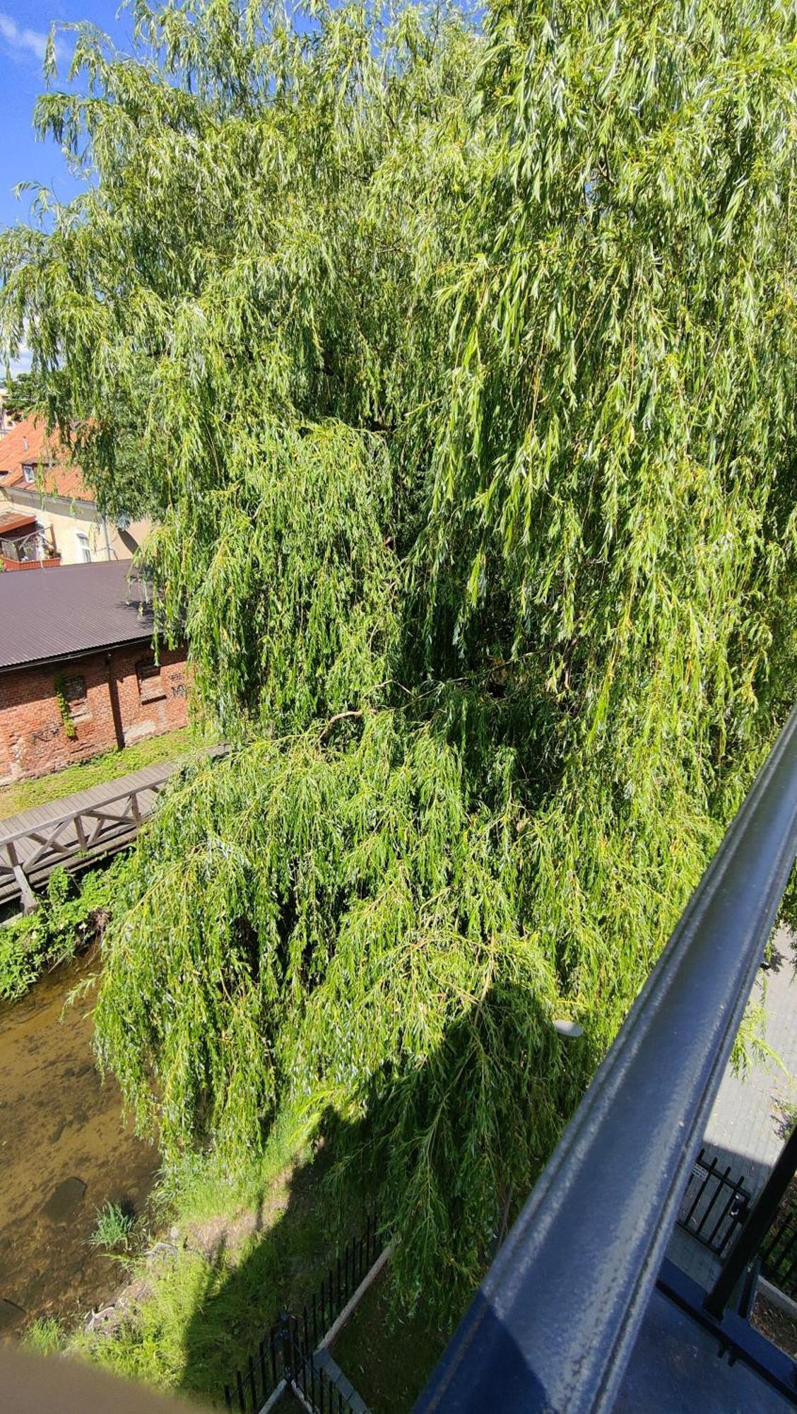 Apartament Nad Rzeka Lega Олецко Экстерьер фото